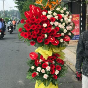 Hoa chúc mừng 04